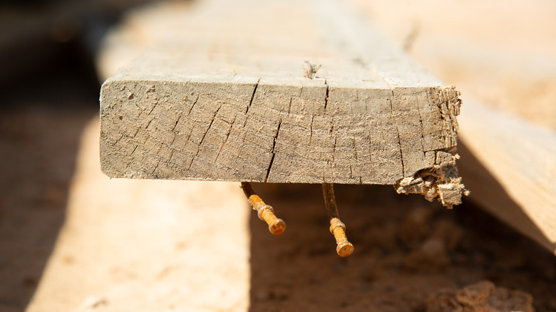 A piece of scrap wood with two rusty nails sticking out