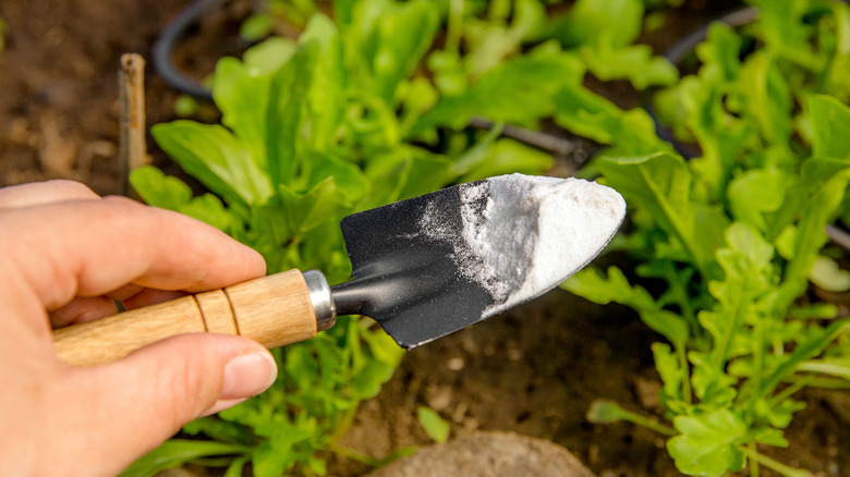 garden trowel with baking soda