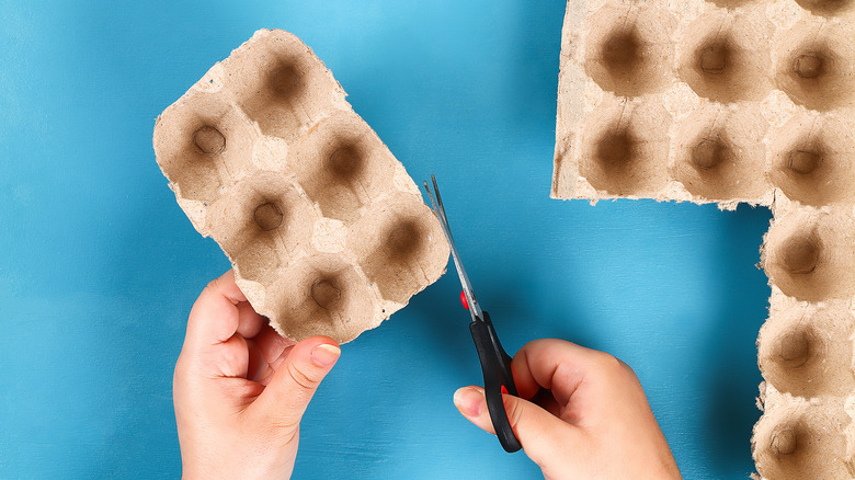 Cutting egg cartons on blue background