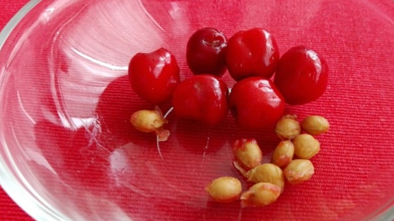 Cherries and pits in dish