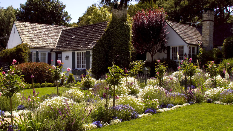 Ornamental garden in front yard