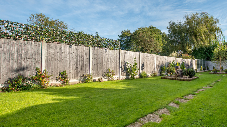 Wooden fence in the backyard