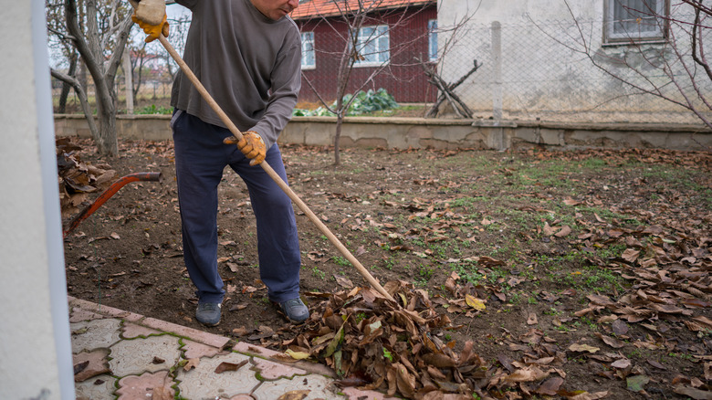 Man raking leaves outside house