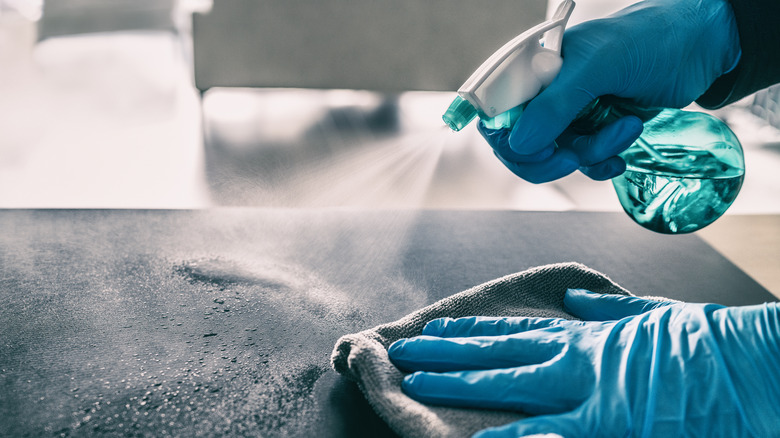 spraying cleaner on kitchen countertop