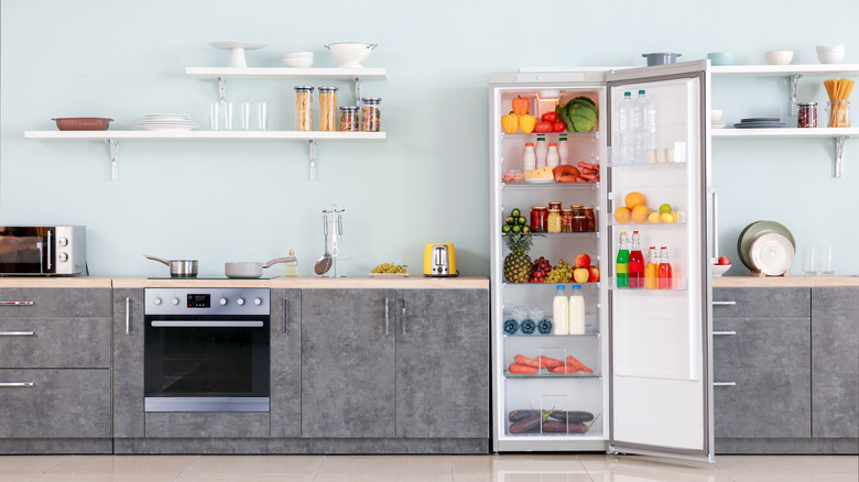 Kitchen with open shelves and no upper cabinets