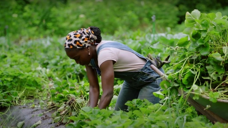 Jamila Norman working in the garden on Homegrown