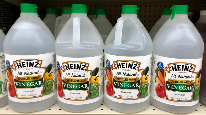 Bottles of vinegar on store shelf