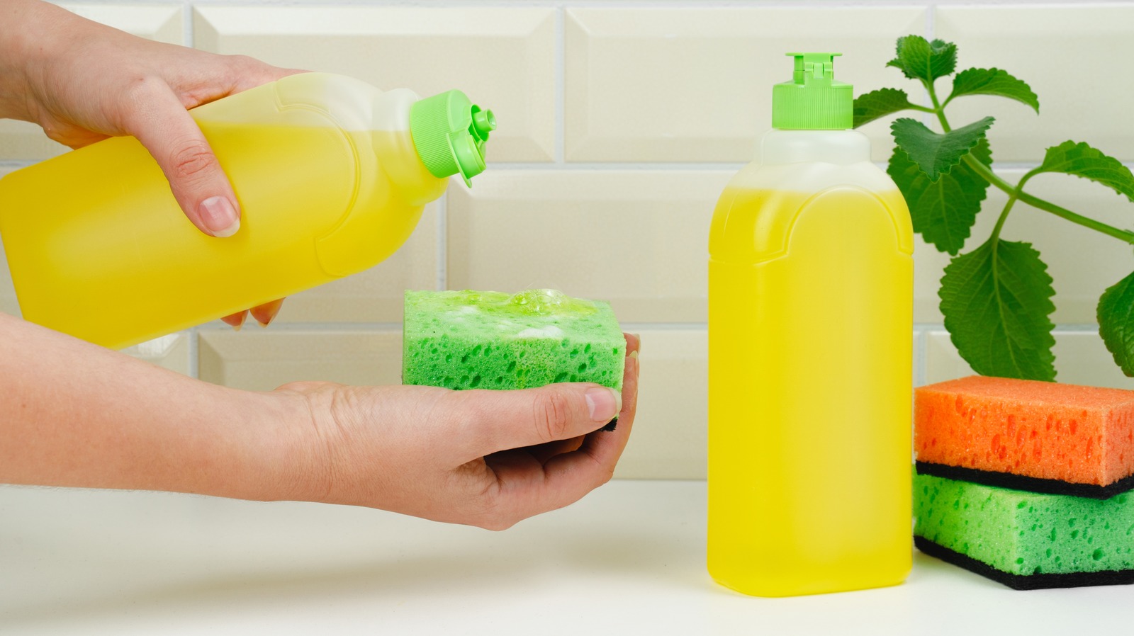 How Much Dishwashing Liquid Should You Actually Use 