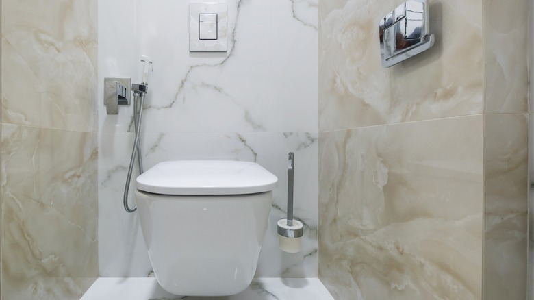 toilet with wall-mounted bidet