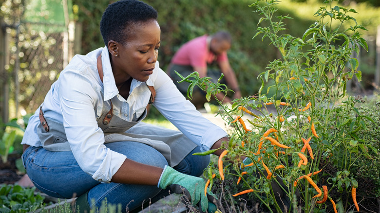 Woman gardening