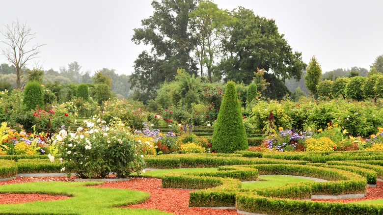 a formal garden