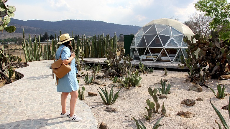 Geodesic glass dome home