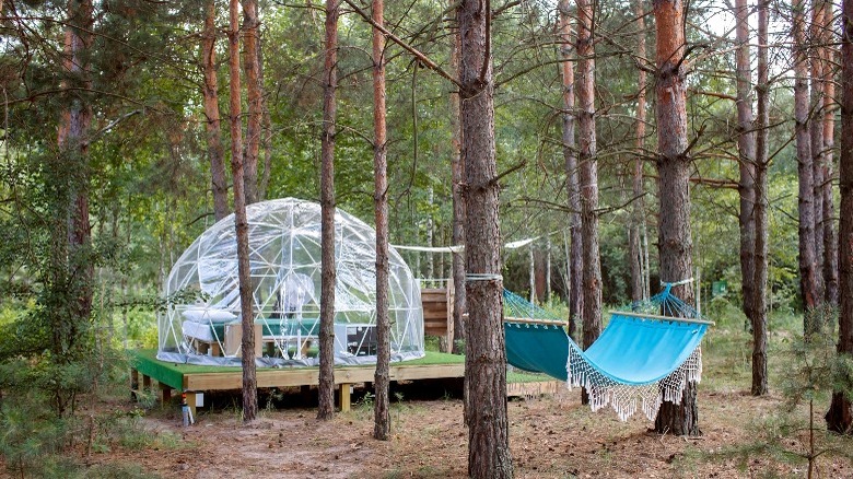 Clear geodesic glamping tent