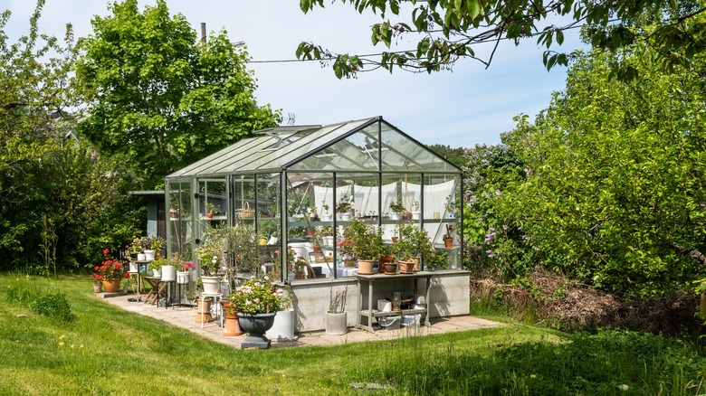 Greenhouse with scenic landscape