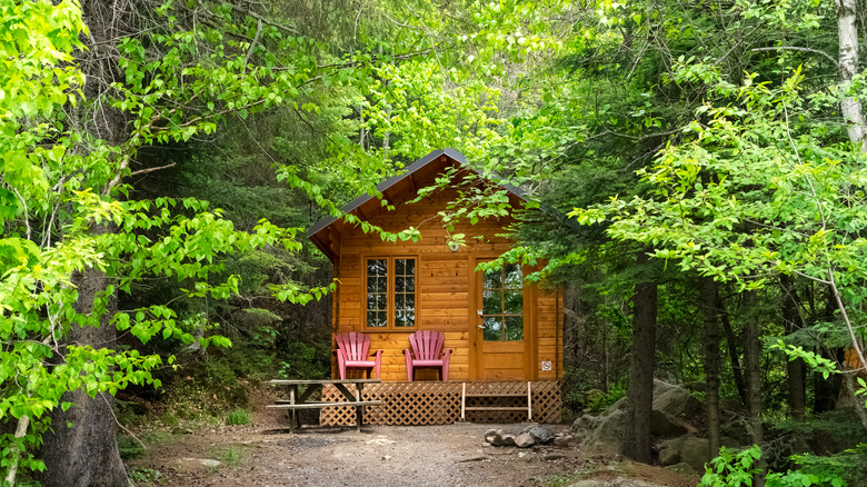 Tiny house in trees