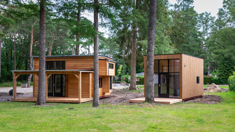 Two tiny homes among trees