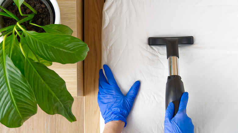 person steam cleaning a mattress