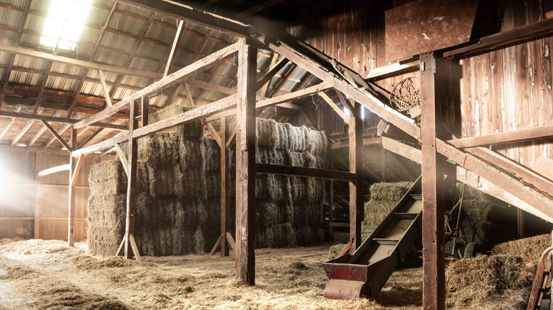 Inside of old barn