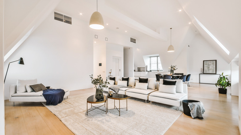 Contemporary attic living space