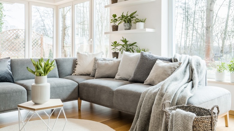 Gray sectional in sunny room