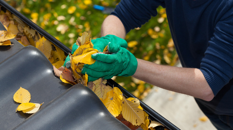 cleaning gutter during autumn