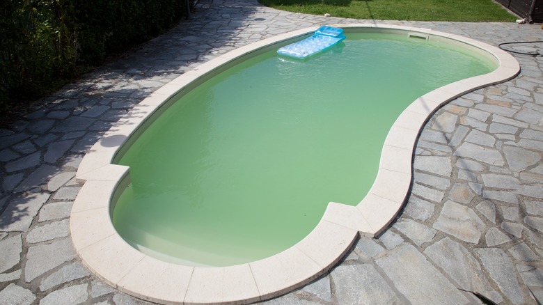 kidney shaped inground pool