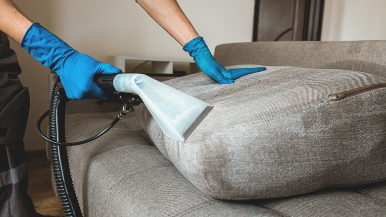 professional upholstery cleaning sofa