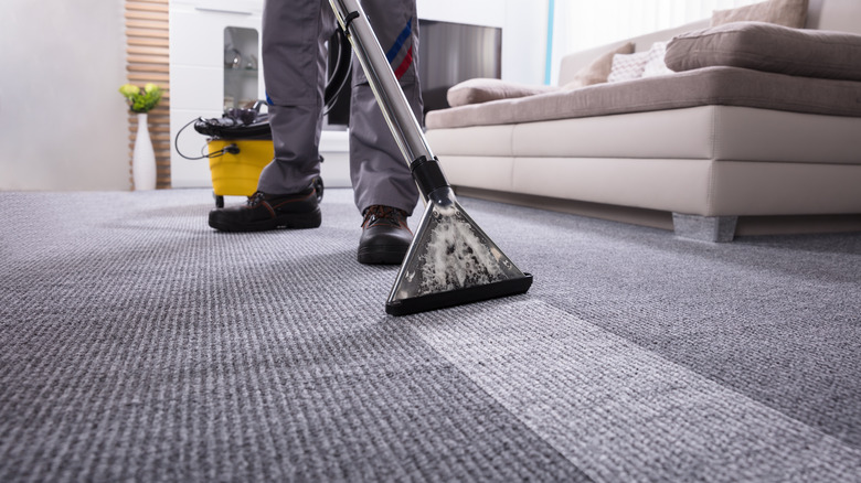 cleaning a gray carpet