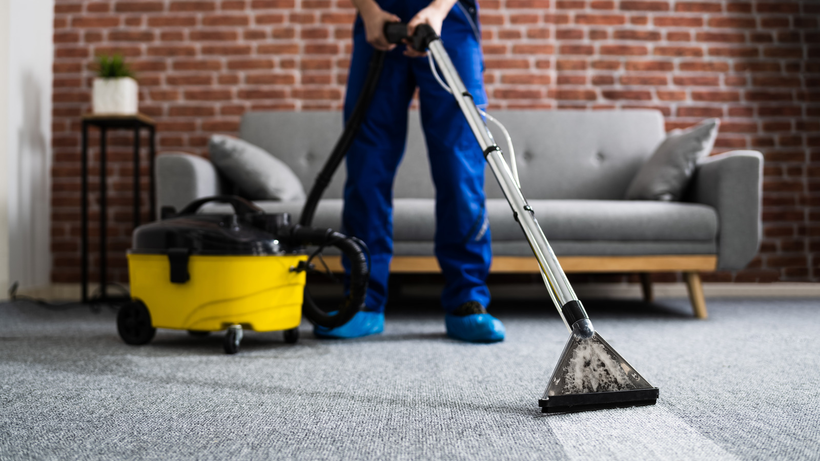 How Much Does It Cost To Have Your Carpet Cleaned 