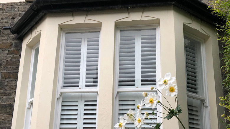 shutters in a bay window
