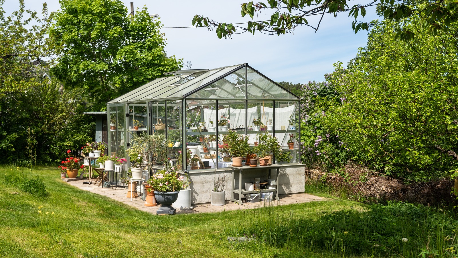 How Much Does It Cost To Install A Greenhouse?