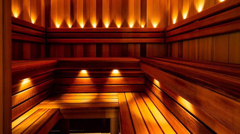 Empty sauna with LED lighting