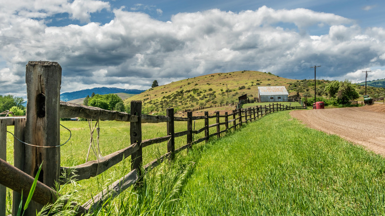 Long split-rail fence