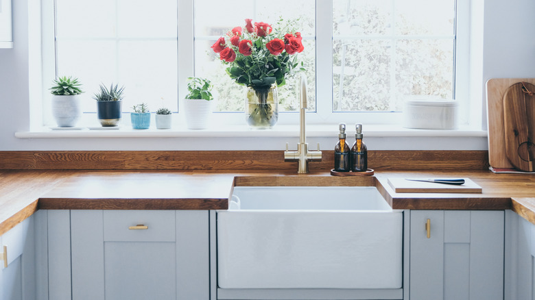 Farmhouse style workstation sink