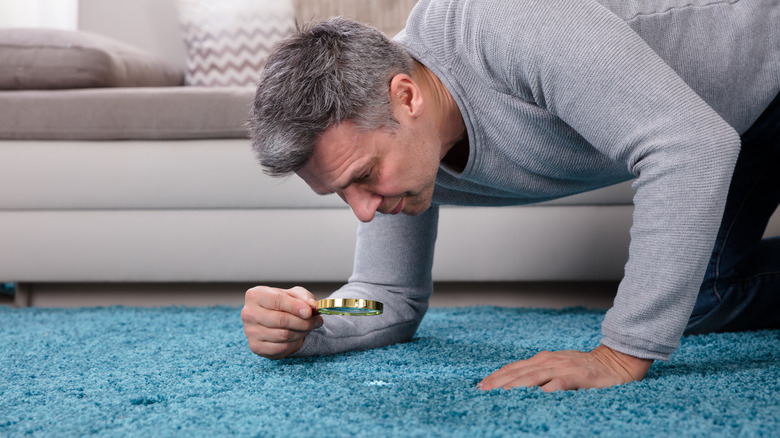 Man inspecting carpet