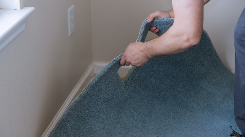 Laying new carpet in home