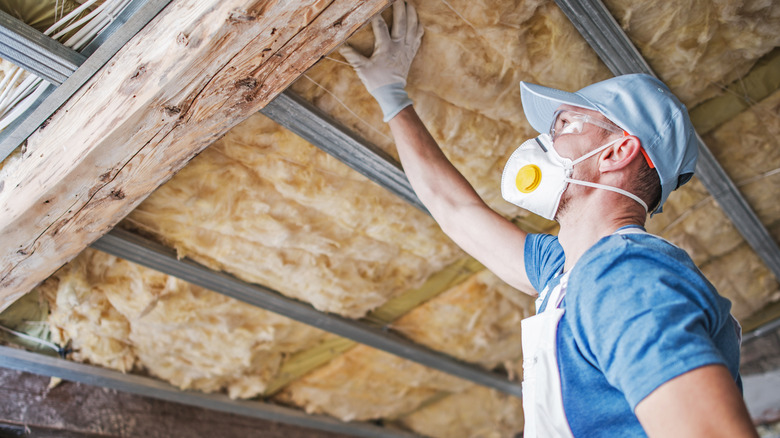 Attic insulation inspection