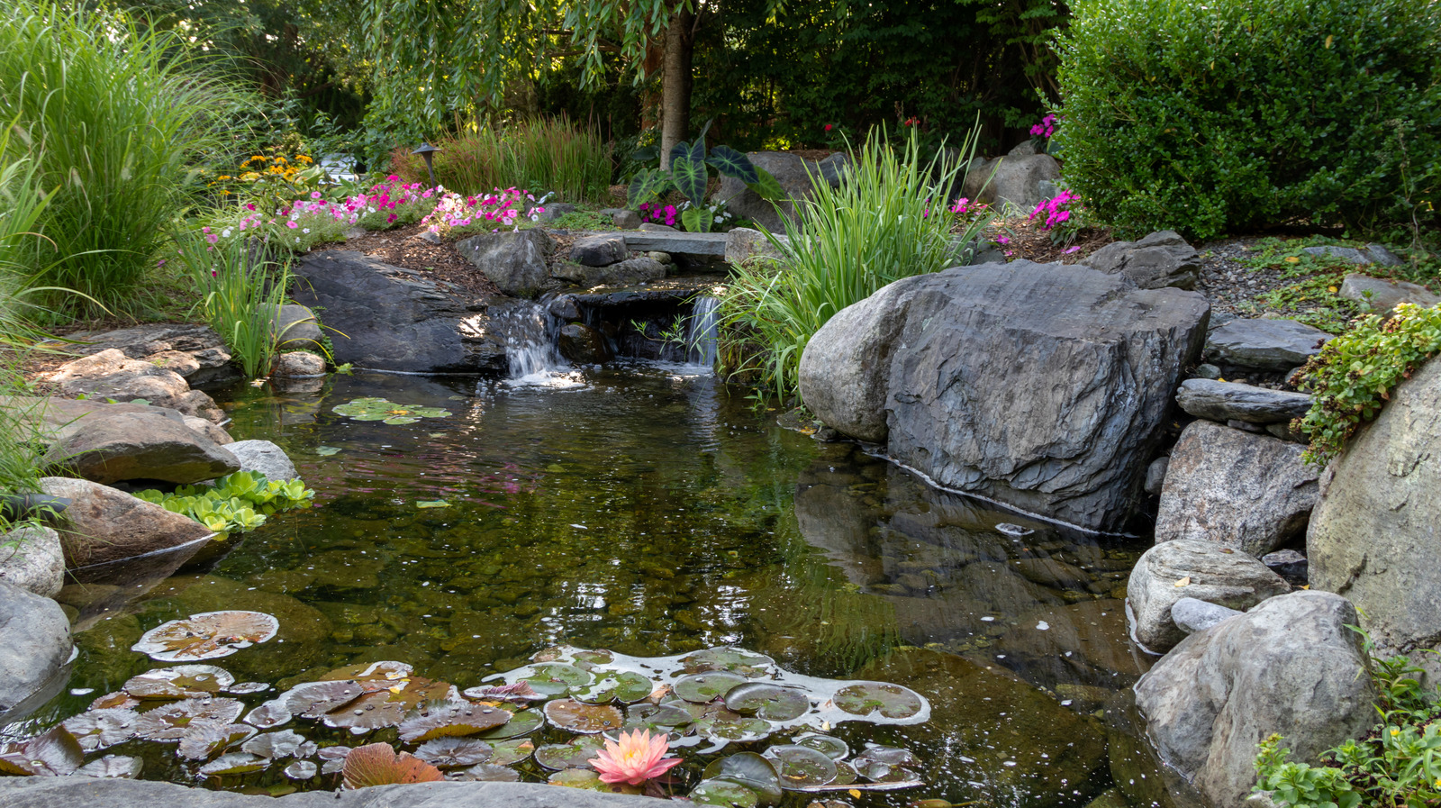 How Much Does It Cost To Put A Pond In Your Yard 