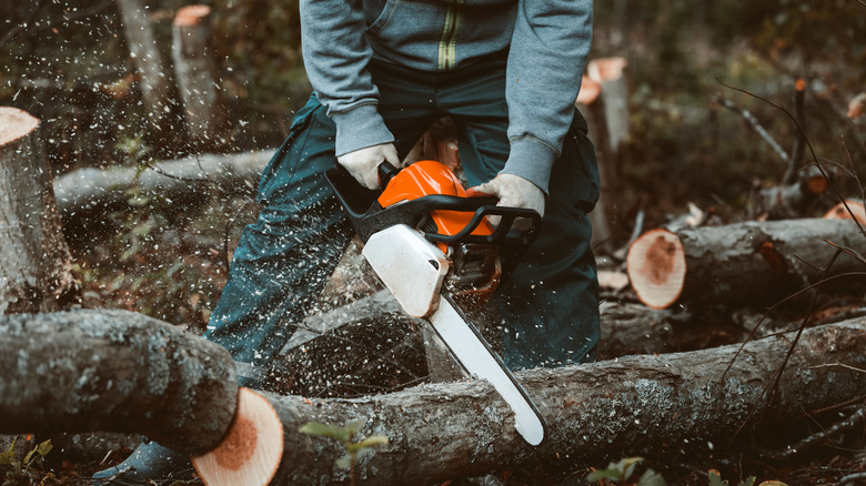 sawing tree branches