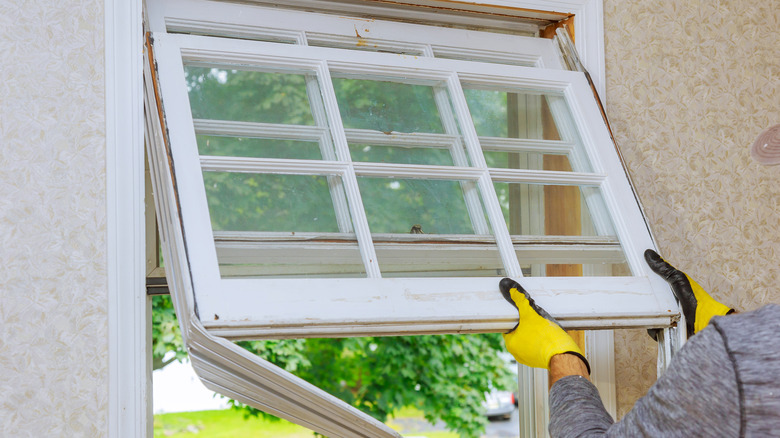 gloved hands installing window