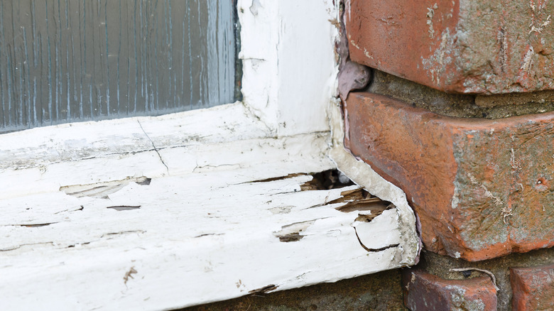 rotted window frame