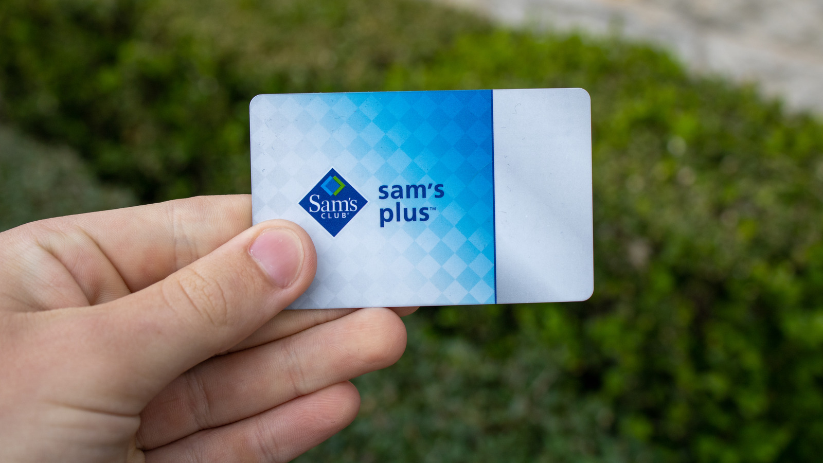 How Much Is A Sam s Club Membership 