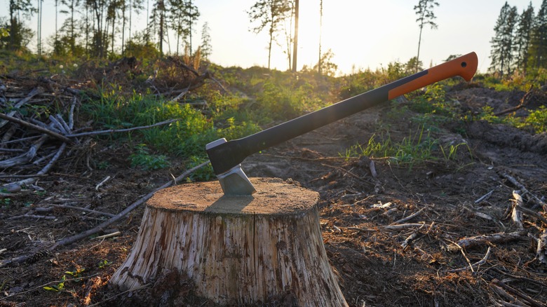 axe chopping wood