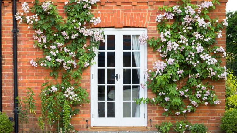 exterior french doors on home