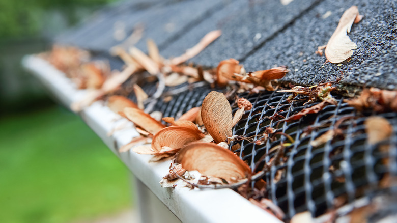 Gutters with mesh guards