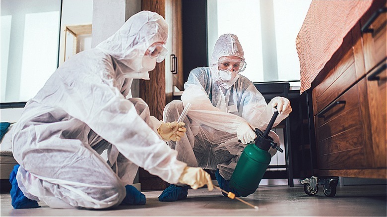 Masked people treating for pests