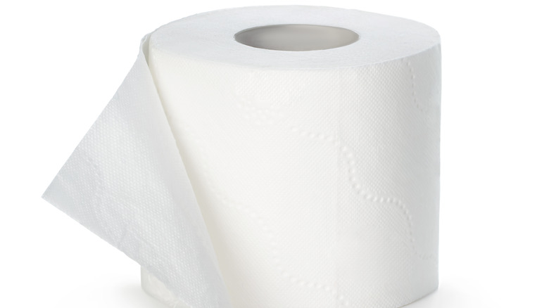 a roll of toilet paper