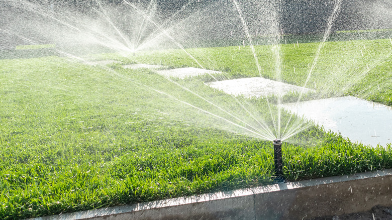 Active sprinklers watering a lawn