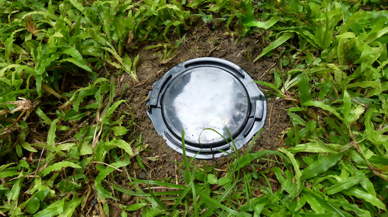 Termite bait station in ground