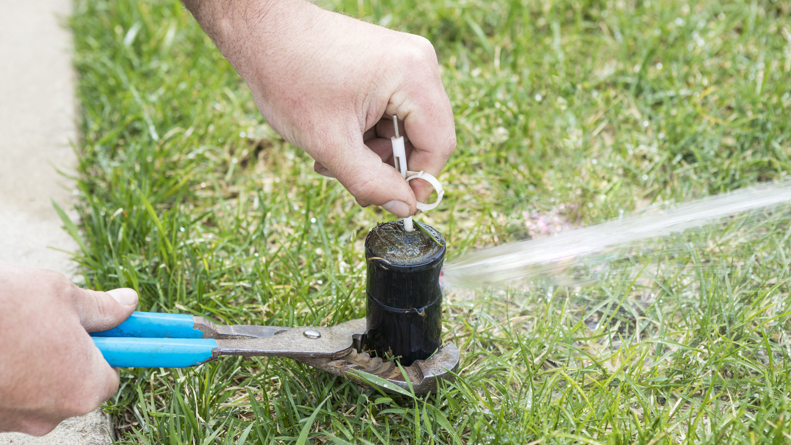 https://www.housedigest.com/img/gallery/how-often-should-you-be-cleaning-your-lawn-sprinkler-heads/l-intro-1689161401.jpg